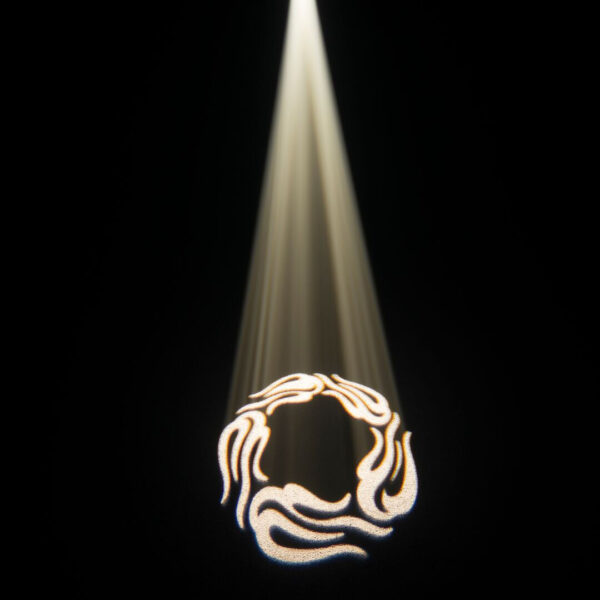 Chauvet EVE E-160ZQ LED Profile Spot RGB+WW Ellipsoidal Zoom 160W - Image 6