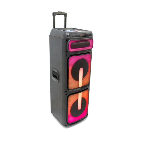 Ibiza Sound STUPDJ1400 “Special Karaoke” StandUp Box 2 x 10" 1400W Speaker - Image 7