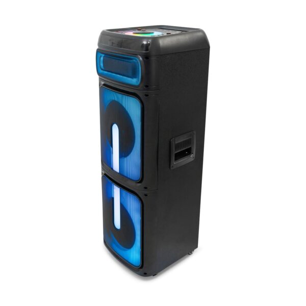 Ibiza Sound STUPDJ1400 “Special Karaoke” StandUp Box 2 x 10" 1400W Speaker - Image 5