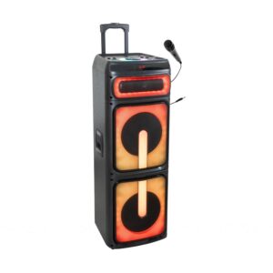 Ibiza Sound STUPDJ1400 “Special Karaoke” StandUp Box 2 x 10" 1400W Speaker