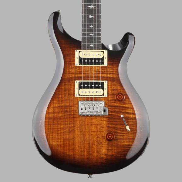 PRS SE Custom 24 Electric Guitar - Image 2