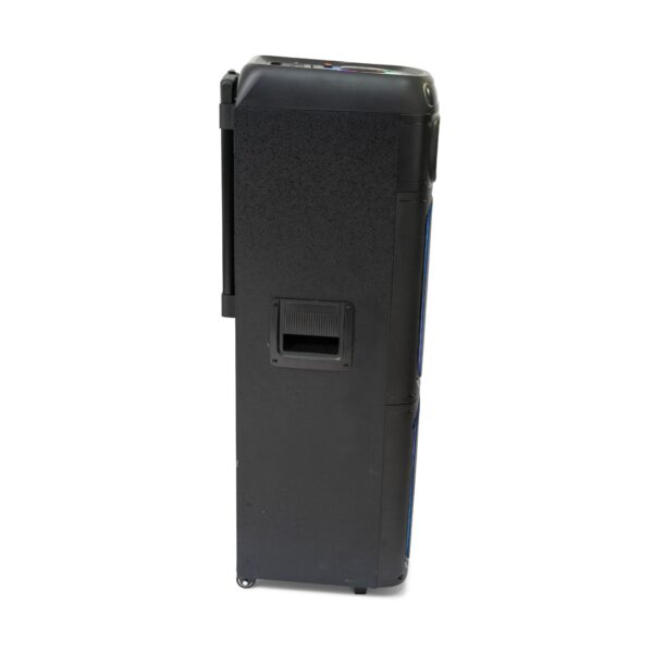 Ibiza Sound STUPDJ1400 “Special Karaoke” StandUp Box 2 x 10" 1400W Speaker - Image 6